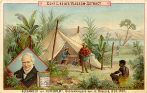 Objevitelská výprava Alexandra von Humboldta, Liebigova karta (tisk)