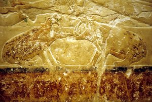 Starověký Egypt, Nástěnná malba, Mastaba/Tomb of Idout, Sakkára, 6. dynastie, Dva bojující hroši (foto) od School Egyptian