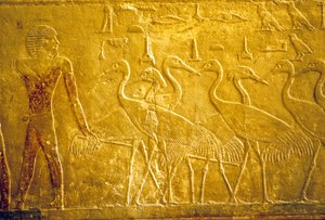 Starověký Egypt, Nástěnné řezby/malby, Mastaba/Tomb of Ti, Sakkára, 5. dynastie, Farmář vedoucí ochočené jeřáby (foto) od School Egyptian