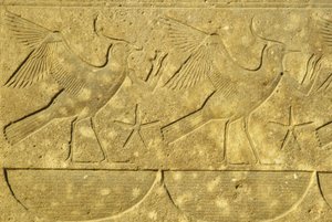 Starověký Egypt, Nástěnná malba/řezba, Laponci, představující různé egyptské kmeny, Chrám v Karnaku, Luxor (foto) od School Egyptian