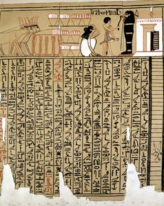 Egyptské hieroglyfy od School Egyptian