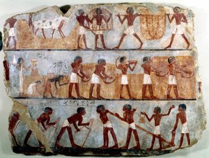 Egyptský starověk: nástěnná malba z thébské hrobky Ounsou: práce na polích: orba, sázení, sklizeň, přenášení snopů, sázení a sklízení obilí. Reg of Thutmosis (Tuthmosis nebo Thutmus) III