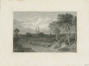 Katedrála Lichfield - West View (vzdálený): rytina a [18. století] (tisk) od School English