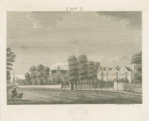 Whittington Hall: rytina od School English