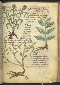 Harley 4986 f.23 Nymphia; Isatis; Crision, z 