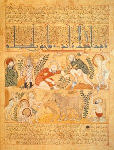Andromenadros, The Pharmacist, zkoumá zemědělskou práci, ilustrace z knihy protijedů „Kitab al-Diryaq“, Pseudo-Gallen (vellum)