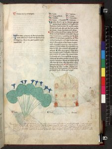Egerton 747 Tractatus de herbis (bylinný) c.1280-1310 (inkoust a barva na pergamenu) od School Italian