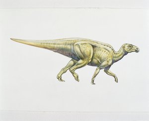 Hadrosaurid nebo dinosaurus s kachním zobákem (barva litho) od School Italian