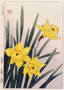 Zavřít Narcisy - japonský tisk od Japanese School