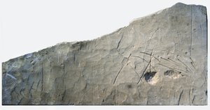 Hebrejský pohřební nápis z Beth Loya, judské předhůří, Izrael, 6. století před naším letopočtem (kámen)