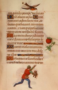 F.235 Muž s jestřáby, z 