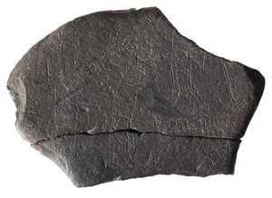 Rukojmí kámen, z raně středověkého ostrovního kláštera, Inchmarnock, Bute, Skotsko, cca 8.-9. století našeho letopočtu (břidlice) od Scottish School