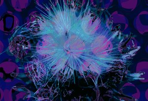 Artyčok (digitální) od Scott J. Davis