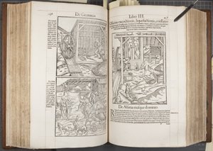 Cosmographia, Fol 436-437 od Sebastian Munster
