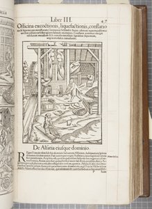 Cosmographia, Fol 437, 1544 od Sebastian Munster
