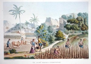Zemědělští dělníci, Guam, Filipíny, z „Voyage Autour du Monde (1817-20)“ od Louis Claude Desaulses de Freycinet (1779-1842), vyryto Pomelem, vydáno 1822-24 (barevně lito) od Sebastien (d.1832) (after) Leroy