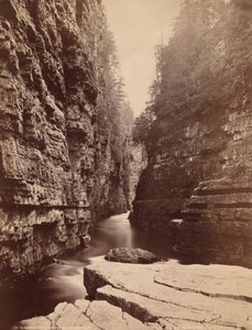 Ausable Chasm - proti proudu řeky od Table Rock,c. 1880 (foto)