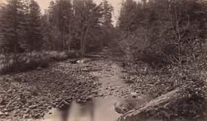 Marion River v Bassettově táboře