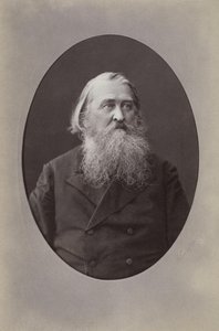 Portrét básníka Alexeje Nikolajeviče Pleshcheeva 1825-1893, 1870