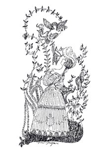 Ilustrace k eseji Modrá růže od S. Makovského, 1907
