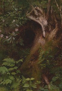 Veverka od Seymour Joseph Guy