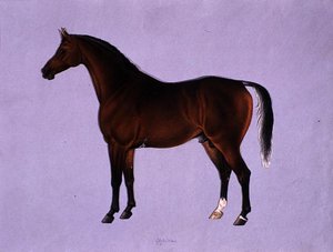 Oppidan, cca 1840 (akvarel na papíře)