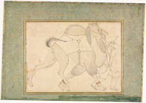 Velbloud a ženich, jednostránková ilustrace, c. 1545-1576. od Shaykh Muhammad