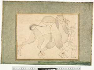 Velbloud a ženich, kolem 1545-76 od Shaykh Muhammad