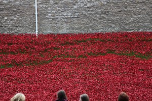 Krvavé země a moře rudé, Tower of London, 2014.