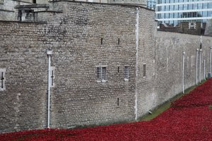 Krvavé země a moře rudé, Tower of London, 2014.