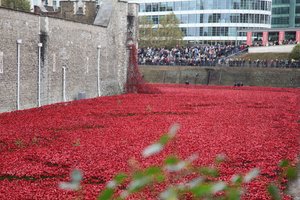 Krvavé země a moře rudé, Tower of London, 2014.