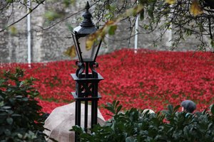 Krvavé země a moře rudé, Tower of London, 2014.