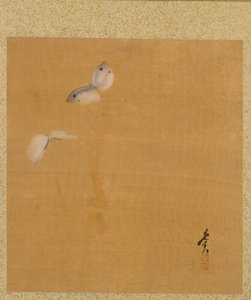 Můry z alba obrazů ctihodného Zeshina od Shibata Zeshin