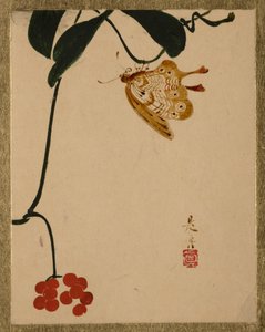  od Shibata Zeshin