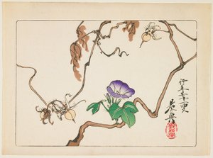 od Shibata Zeshin