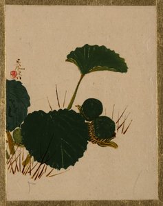 Červ na zelené listové rostlině. od Shibata Zeshin