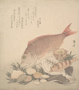 Velké a malé ryby plavou mezi lasturami a mechy na dně moře, ca. 1830, ca. 1830.