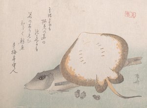 Stingray a Gurnard, pravděpodobně 1815., pravděpodobně 1815. od Shinsai