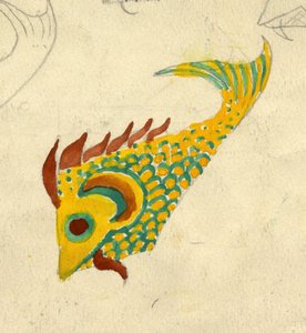 Ilustrace ryb, c1950. od Shirley Markham