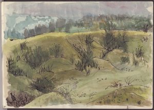 Krajina s keři, Itálie, c1950. od Shirley Markham