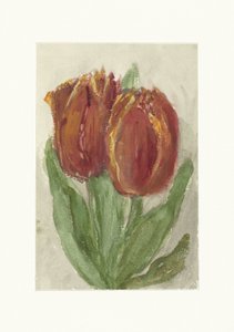 Dva červené tulipány