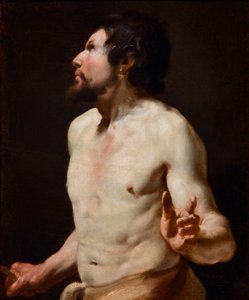 Studie malby torza ze školy Simona Voueta (1590-1649) (malba) od Simon (circle of) Vouet