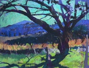 Stín třešně, 2000 (pastel) od Simon Fletcher