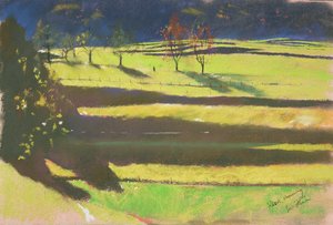 Ráno v bažinách (pastel na papíře) od Simon Fletcher