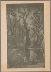 Voda v lese Dream Forest (původní název) od Simon Moulijn (signed by artist)