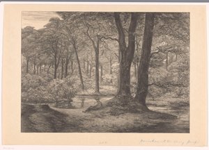 Pohled na Hunnenschans na Veluwe The Hunnenschang (původní název)