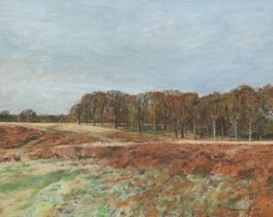 Richmond Park, 2019 (olej na plátně)