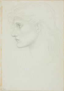 Hlava dívky čelem doleva od Sir Edward Burne Jones