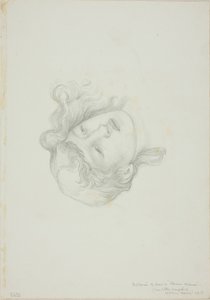 Odraz hlavy, studie pro Mirror of Venus
