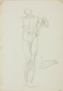 Standing Male with Tablet; separate sketch of right arm   1291050   cs       czech Successfully Translated  Original: Brûleurs de Fougères Translat: Brûleurs de Fougères 1266932 cs czech Successfully Translated Original: Perhaps they are of another breed, 